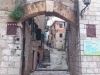 dsc_0438web