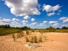 stockvault-kruger-park-landscape133563