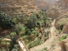 foto8