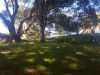 20170424_113814
