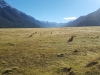 20170501_103447