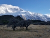 20170504_092112