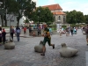 20160808_113749