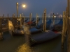 DSC05690w